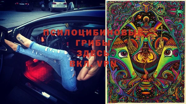 эйфоретик Карпинск